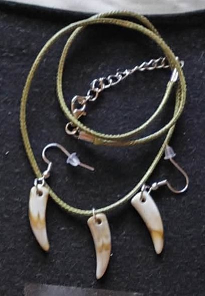Wolf tooth earring and necklace set
